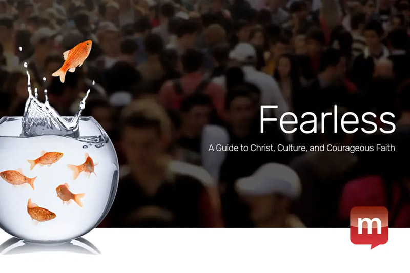 fearless_study-800.jpg